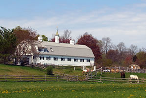 Land Management and Conservation