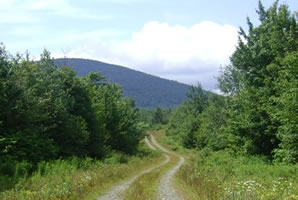 Boundary and Easement Litigation